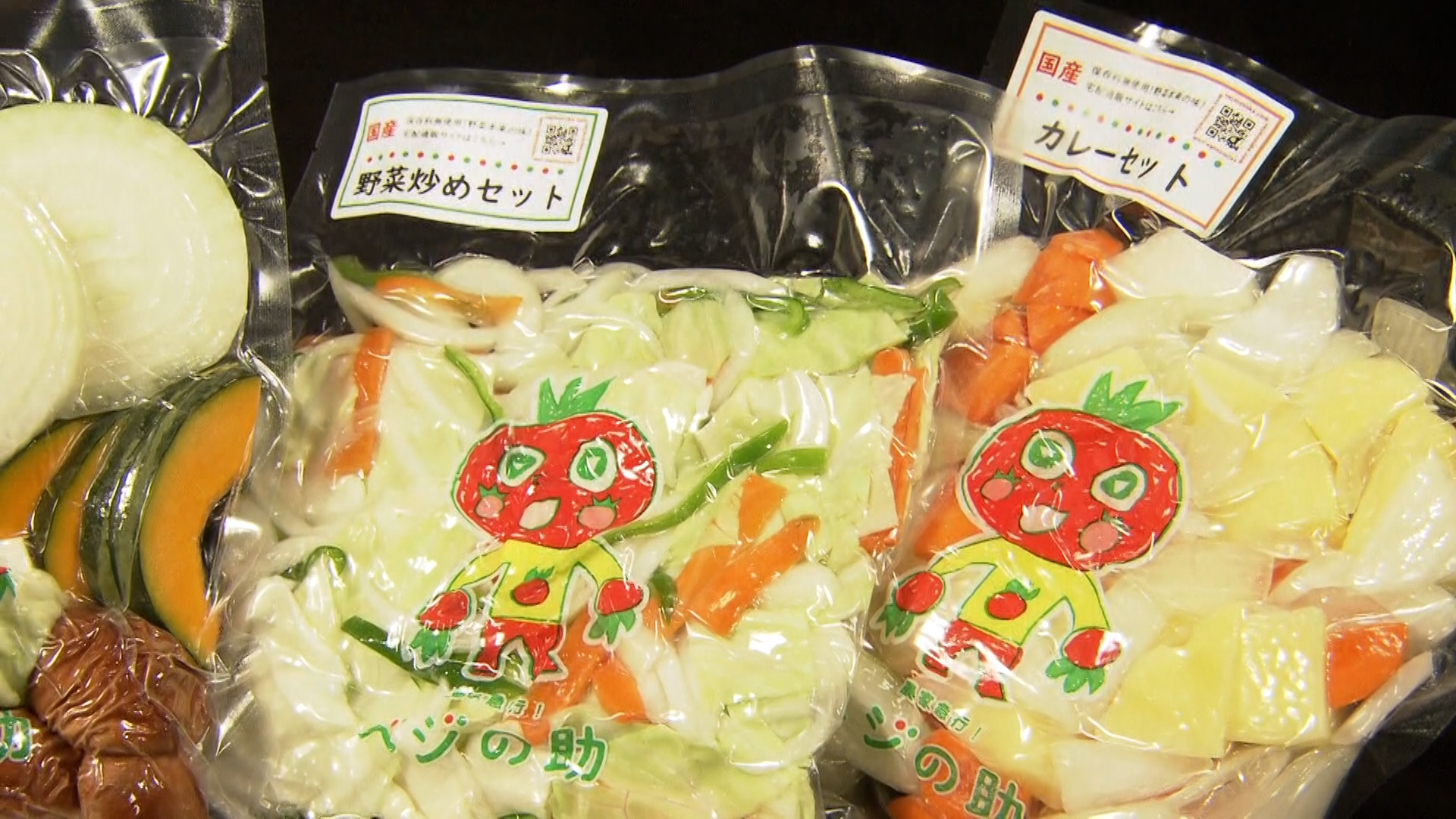 【潜入!カンパニー】「五十嵐商会」