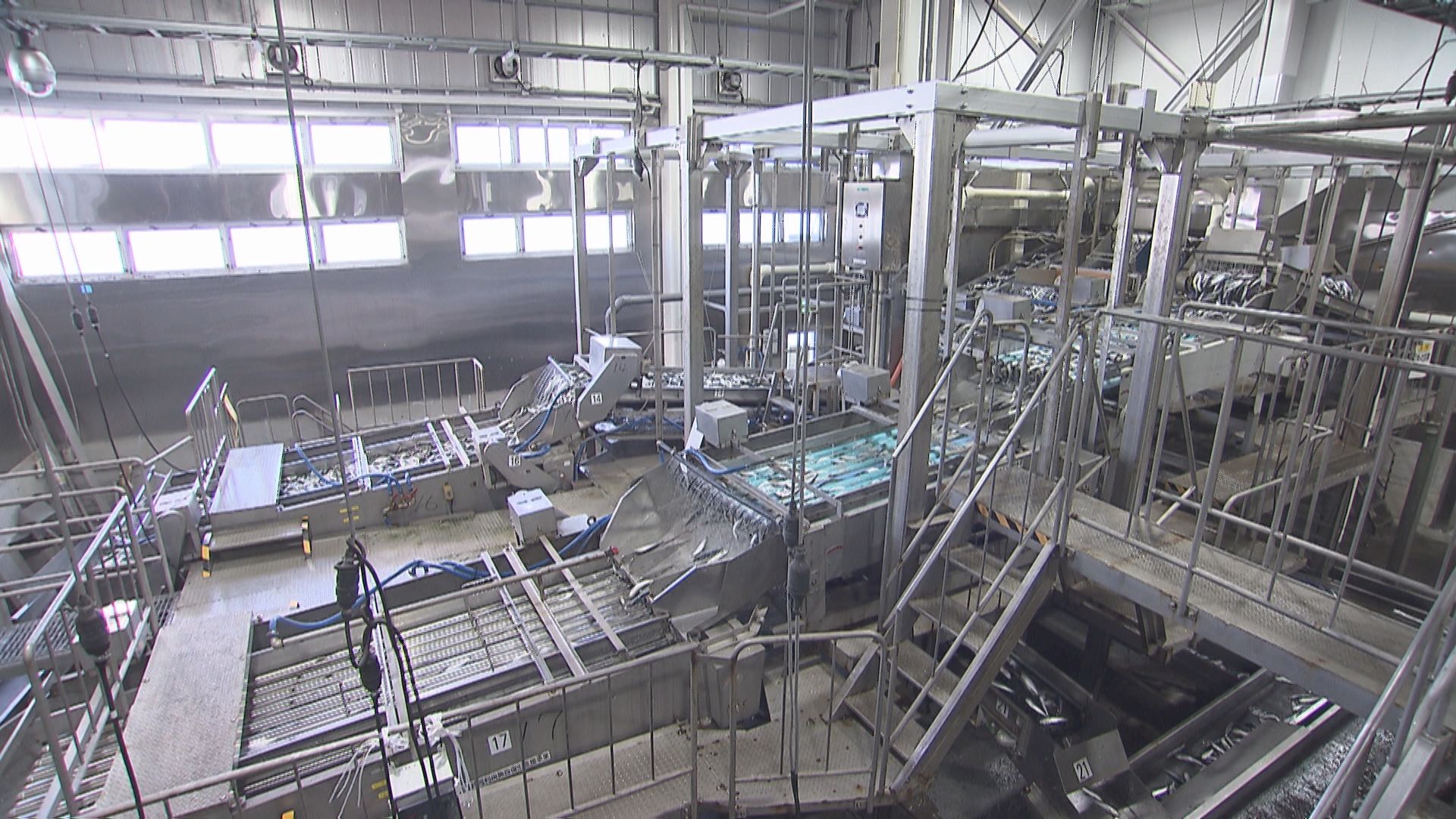 「THE密着」『宮城から世界へ!最先端技術で課題に挑む水産加工会社』