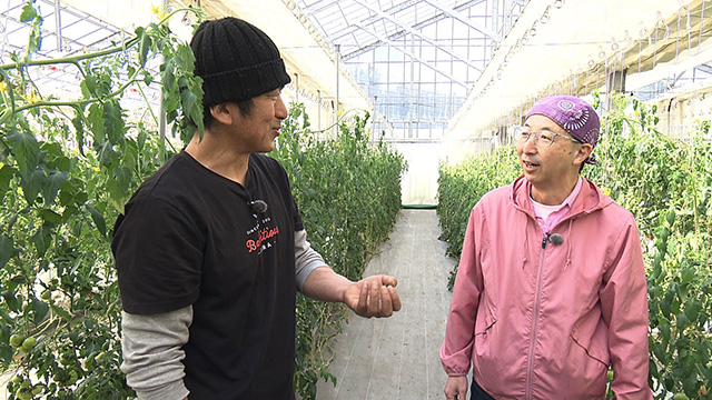 まやまのさとうファーム